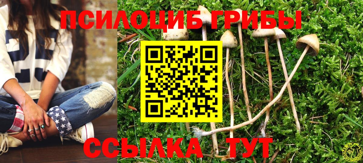 Миасс  Псилоцибиновые грибы прущие грибы  Вход с VPN  Галлюциногенные грибы Magic Shrooms 